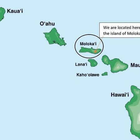 Molokai Island Retreat With Beautiful Ocean Views And Pool - Newly Remodeled! Lägenhet Ualapue Exteriör bild