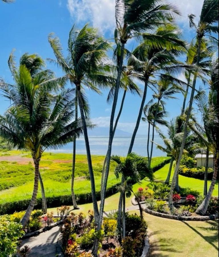 Molokai Island Retreat With Beautiful Ocean Views And Pool - Newly Remodeled! Lägenhet Ualapue Exteriör bild