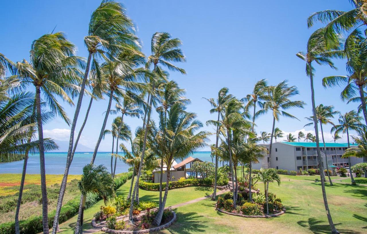 Molokai Island Retreat With Beautiful Ocean Views And Pool - Newly Remodeled! Lägenhet Ualapue Exteriör bild