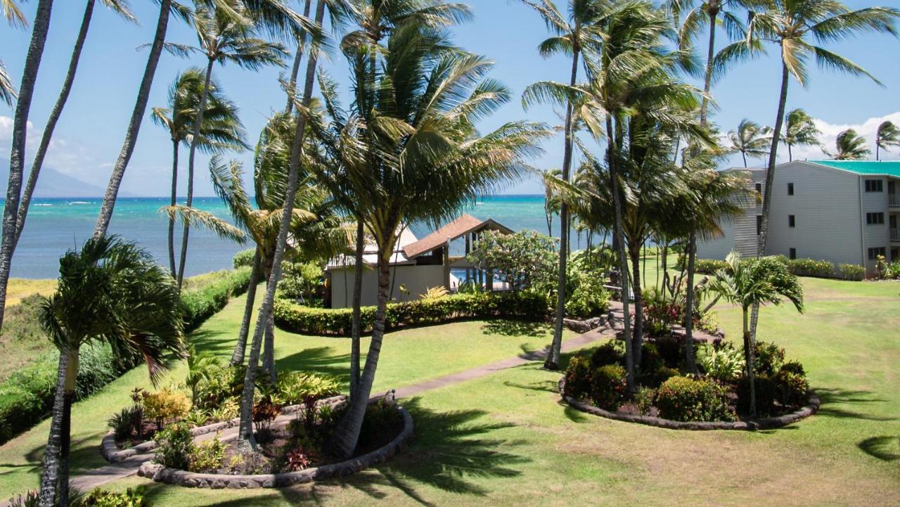 Molokai Island Retreat With Beautiful Ocean Views And Pool - Newly Remodeled! Lägenhet Ualapue Exteriör bild