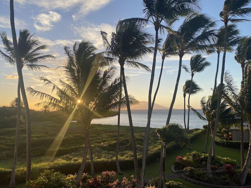 Molokai Island Retreat With Beautiful Ocean Views And Pool - Newly Remodeled! Lägenhet Ualapue Exteriör bild