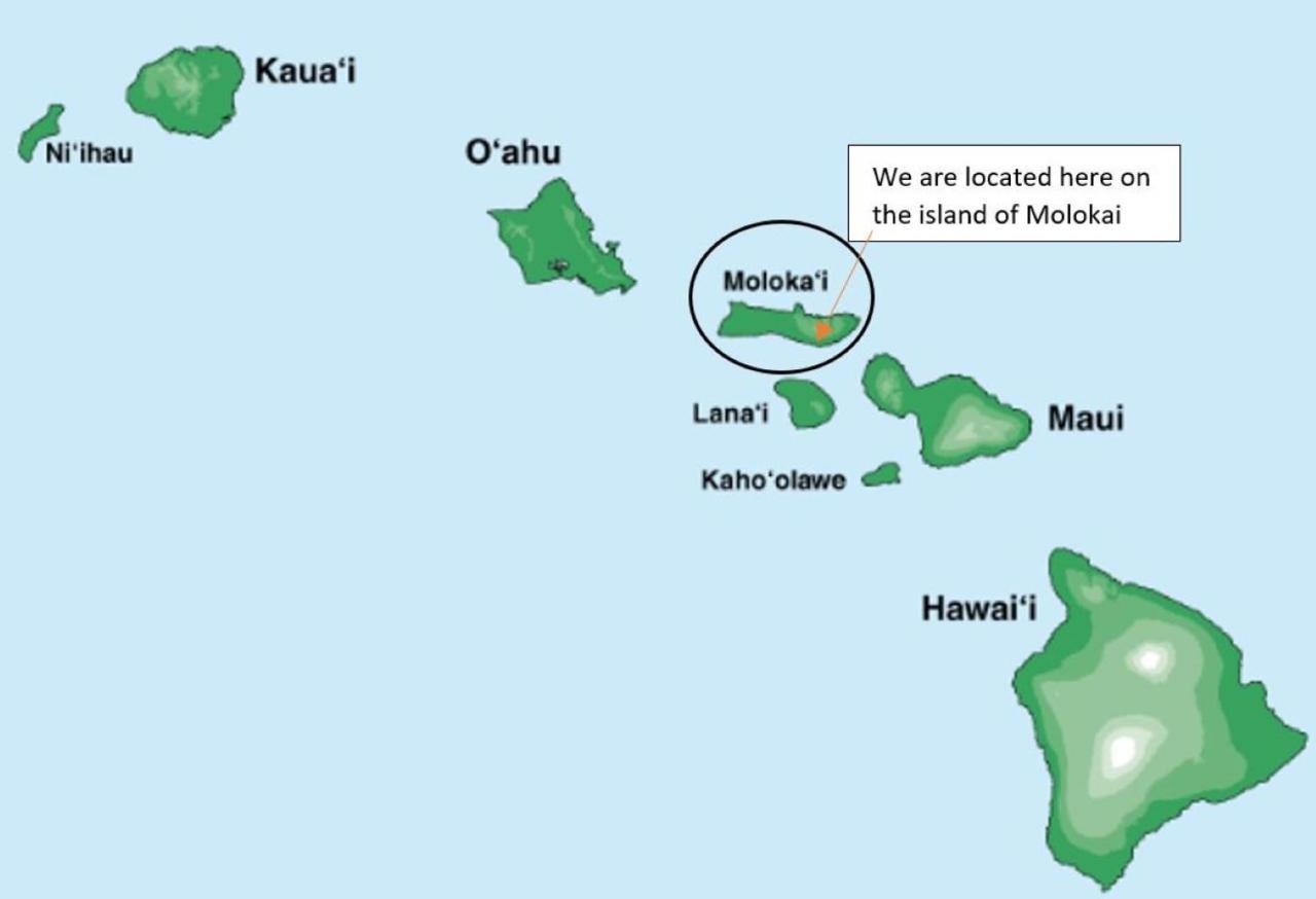 Molokai Island Retreat With Beautiful Ocean Views And Pool - Newly Remodeled! Lägenhet Ualapue Exteriör bild